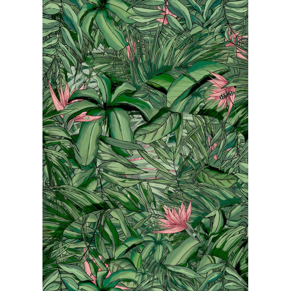 Tropical Daze Collection Tropical Forest Wallpaper-Beaumonde